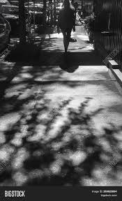 Light Shadows New York Image Photo Free Trial Bigstock