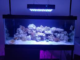 Estimating Tank Water Volume Unknown Amount Of Live Rock Reef2reef Saltwater And Reef Aquarium Forum