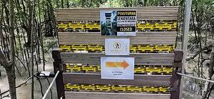 Pulau kukup (johor) national park was established in 1997 to protect one of the largest mangrove islands in the world. Taman Nasional Pulau Kukup Johor Bahru Malaysia Review Tripadvisor