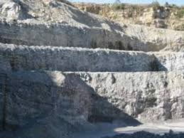 Image result for Oreophyton