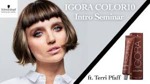 An Introduction to our Igora 10 Color Chart