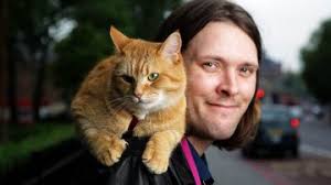 No pawing, folks — Bob's a movie star moggie now