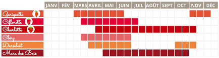 Travailler La Tete En Bas Marsactu