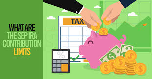 We did not find results for: What Are The Sep Ira Contribution Limits For 2021
