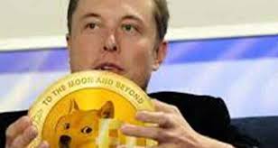 Dogecoin son zamanlarda sürekli elon musk ın ağzında. Dogecoin Nedir Degeri Firlayan Dogecoin Gundemde