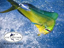Packed in a single zip file. Sports Fishing Wallpaper Zip File Bass Fishing Pikes Tackle Mobile Resolutions Fishing Wallpaper Android 750x1334 Download Hd Wallpaper Wallpapertip Download Carp Fishing Wallpapers Apk For Android Apk File Named Rs Zm Carpfishingwallpaper