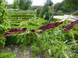 60 boulevard du jardin des plantes, 80000 amiens, france. Jardin Des Plantes D Amiens Somme 80