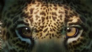 Maybe you would like to learn more about one of these? Jaguar Eyes Free Image On Pixabay