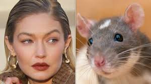 Jeffrey Forde, Man Behind Subway Rat Face Crawl Video, Cashes In (VIDEO)