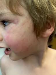 In case anyone needs services, my husband is awesome and does payment plans  as well