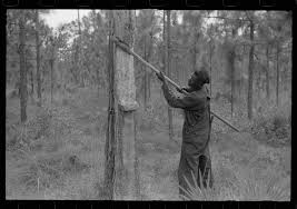 The secret reason why actor Pernell Roberts was a civil rights activist