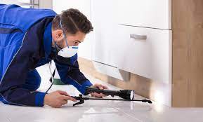 Hire the best pest control services in atlanta, ga on homeadvisor. Sovereign Pest Control Atlanta Ga Groupon