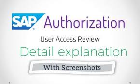6 how to make a raci matrix? Sap User Authorization Audit And Explanation Adarsh Madrecha