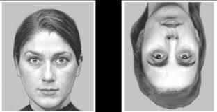 Developing Biomarkers to Improve Clinical Research in Autism Biomarker  Definition Biomarker Types and Objectives