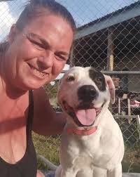 Stolen Flamingo Lawn Ornament at 9th and Wilson