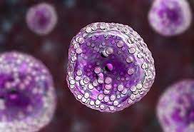 Can You Live A Long Life With Cancer