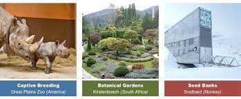 2.ex situ conservation involves placing of threatened animals and plants in special care units for. Conservation Bioninja