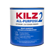Painting over mold is tricky! Kilz White Water Based Primer And Sealer 1 Qt Ace Hardware