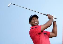 Tiger woods' net worth in 2020: Tiger Woods Net Worth Celebrity Net Worth