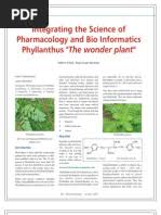 Image result for Phyllanthus mendoncae