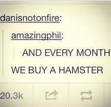 Sweet Lord I Read The Hat Fic Today For The First Time And I Will Never Look At Hamsters The Same Way Agai The Hat Fic Dan And Phil Phil Lester