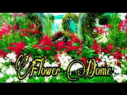 Justflowers offers discount prices on a large variety of floral arrangements for illness, sympathy or birthday wishes. Forest Of Flowers Promo Code 08 2021
