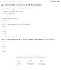 A few centuries ago, humans began to generate curiosity about the possibilities of what may exist outside the land they knew. Quiz Worksheet Human Skeleton Bone Function Study Com