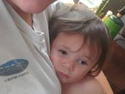 Fundraiser by Marti Carter : Help Avi heal!