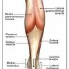 The older you are, the more likely you are to have leg cramps. 1