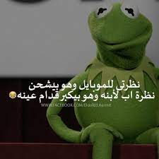 pin on eldofd3 kermit