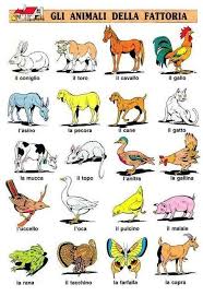 Timeline Photos Facebook Italian Word Of Th Learning Italian Italian Words Italian Language
