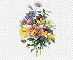 floral design botanical illustration drawing flower flower botany flower arranging png pngegg floral design botanical illustration