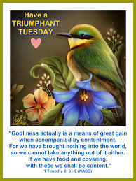 Good Morning Morning Blessings Happy Tuesday Quotes Tuesday Greetings