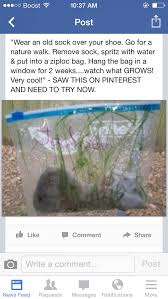 Pin By Kimberly Geurds On Crafts N Projects Science For Kids Preschool Science Fun Science