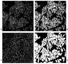 전자현미경(SEM)으로 촬영한 패턴 쓰러짐 불량(왼쪽)과 초임계 건조 후 정상적으로 서 있는 패턴(오른쪽)의 비교 사진