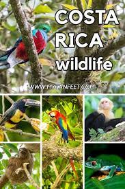Pin On Costa Rica