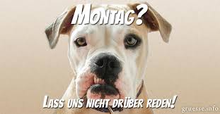Guten Morgen Montag Schone Montagsgrusse Zum Wochenstart