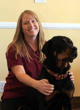 Lancaster pet clinic is a full service animal hospital and will take both emergency cases as well as less urgent medical, surgical, and dental issues. Our Veterinary Team Emergency Veterinarian In Lancaster Ca