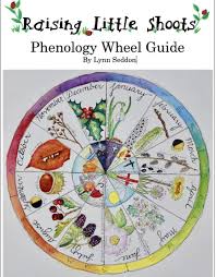 Phenology Wheel Nature Journal Nature Study Nature