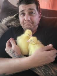 Raising Ducks and Geese