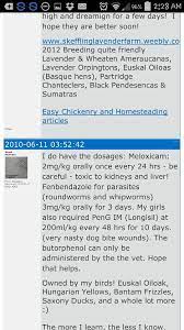 Meloxicam Dosage Chicken Chickens Hens Friendly