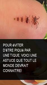 Pour Eviter D Etre Pique Par Une Tique Voici Une Astuce Que Tout Le Monde Devrait Connaitre Les Tiques Tiques Astuces