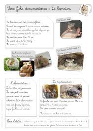 Epingle Sur Rallye Lecture