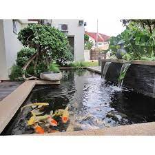 😃kami akan bantu anda dari awal, mulai sejak rencana desain, penentuan material dan nilai estetika hingga pengerjaannya sampai tuntas. Jual Jasa Pembuatan Kolam Ikan Koi Pembuatan Taman Kab Sukabumi Topsellerbarokah Tokopedia