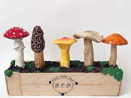 Bianca S Creative Dream 3d Polymer Clay Mushrooms Sculpture Polymercrafts Polymer Crafts To Sell Polymer Clay Mushroom Polymer Crafts Stuffed Mushrooms Mushroom are traditionally farmed on hardwood logs by inoculating them with mycelium. 3d polymer clay mushrooms sculpture