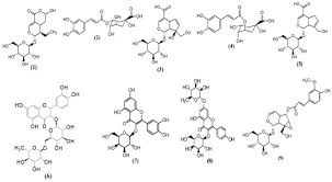 Image result for Cassinopsis
