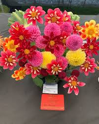 Charlie Mccormick Mccormickcharlie Instagram Photos And Videos In 2020 Beautiful Flower Arrangements Flower Arrangements Beautiful Flowers