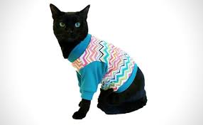 Cool outfits cute outfits fashion outfit accessories cat sweatshirt clothes cute sweaters cat sweaters my style. Cat Clothes 55 Best Items Of Cat Clothing For All Cats