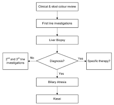 26 Described Jaundice Flowchart