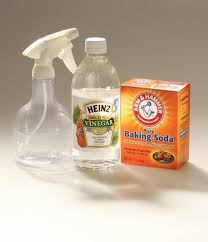 clean kitchen sink